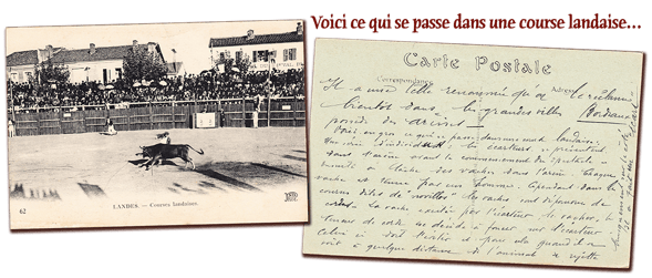 orthe, landes, aquitaine, peyrehorade, course landaise, ganaderia, sauteur, cordier, talanquère, vache