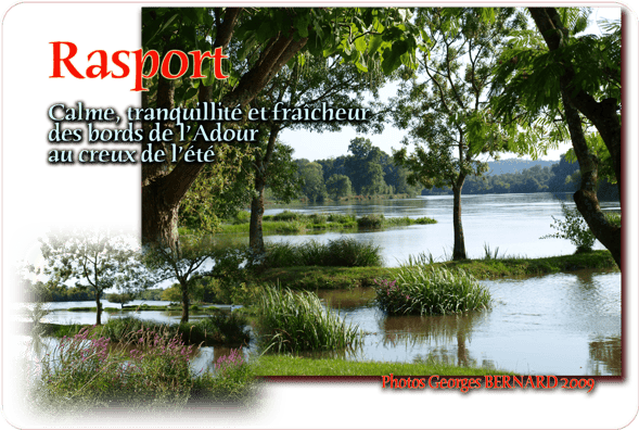 orthe, st etienne d’orthe, adour, gave, peyrehorade, landes, aquitaine, dax, arthous, cagnotte, sorde, barthes, rasport, alose, saumon, kiwi, pedelucq, hondelatte, miremont