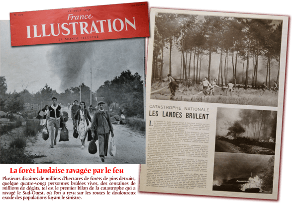 orthe, feu, foret, incendie, pignada, mirador, prevention, landes, aquitaine, etigny