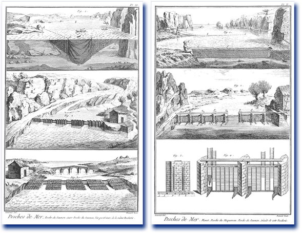 orthe, inondation, peyrehorade, landes, aquitaine, peche, lamproie, pyrenees, gave, arthous, adour, sorde, barthes, radelage, alose, saumon, port de lanne, couralin, hastingues,  tilhole, galupe
