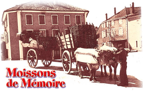 orthe landes peyrehorade aquitaine sorde hastingues cagnotte gave adour saumon chalosse abbaye