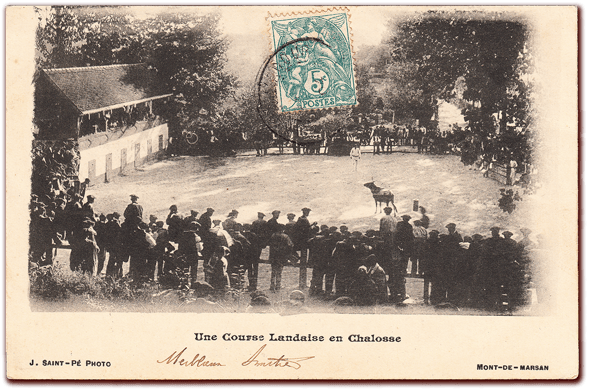 orthe, landes, aquitaine, peyrehorade, course landaise, ganaderia, sauteur, cordier, talanquère, vache