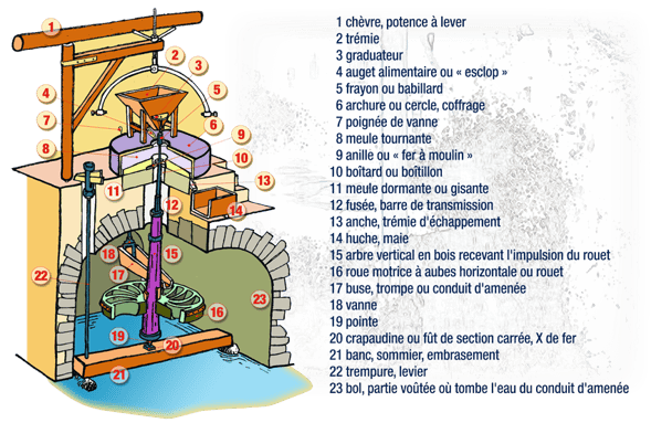 orthe, moulin, peyrehorade, landes, aquitaine, peche, lamproie, adour, gave, arthous, cagnotte, sorde, barthes, radelage, alose, saumon, port de lanne, couralin, hastingues,  tilhole, galupe