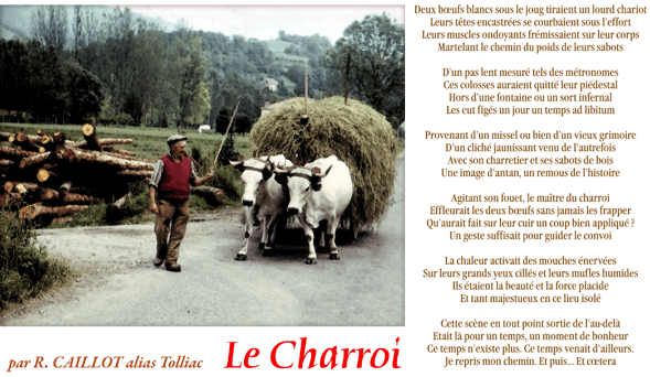 orthe, landes, peyrehorade, aquitaine, sorde, hastingues, cagnotte, gave, adour, saumon, chalosse, abbaye, livres, contes, nouvelles, auteurs