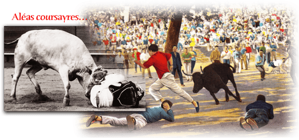 orthe, landes, aquitaine, peyrehorade, course landaise, ganaderia, sauteur, cordier, talanquère, vache