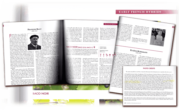 baco, françois, peyrehorade, orthe, landes, aquitaine, dax, adour, belus, labatut, greffe, greffon, phylloxera, armagnac, vignoble, instituteur, hybride, hybridation, viticulture, hudson