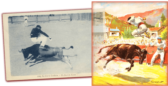 orthe, landes, aquitaine, peyrehorade, course landaise, ganaderia, sauteur, cordier, talanquère, vache