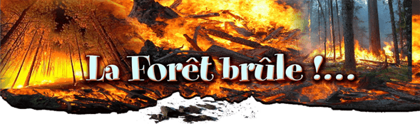 orthe, feu, foret, incendie, pignada, mirador, prevention, landes, aquitaine, etigny, ecobuage, charbonnier, crouzet