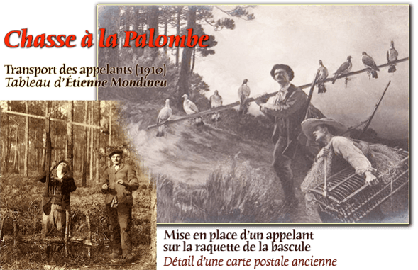 orthe landes peyrehorade aquitaine chasse, bois, foret, veneur, curée, gibier, sorde hastingues cagnotte gave adour saumon chalosse abbaye