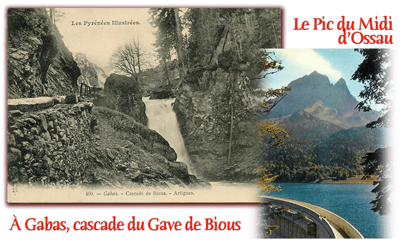 orthe, adour, peyrehorade, landes, aquitaine, peche, lamproie, pyrenees, gave, arthous, cagnotte, sorde, barthes, radelage, alose, saumon, port de lanne, couralin, hastingues,  tilhole, galupe