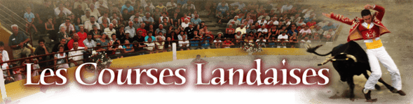 orthe, landes, aquitaine, peyrehorade, course landaise, ganaderia, sauteur, cordier, talanquère, vache