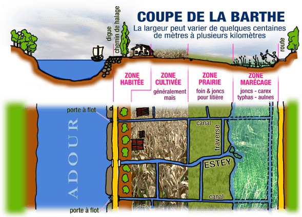 orthe, inondation, peyrehorade, landes, aquitaine, peche, lamproie, pyrenees, gave, arthous, adour, sorde, barthes, radelage, alose, saumon, port de lanne, couralin, hastingues,  tilhole, galupe