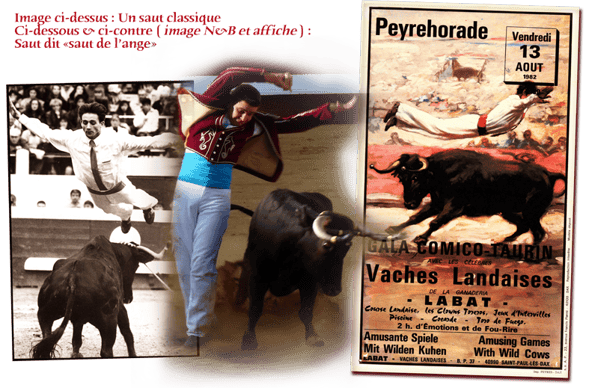 orthe, landes, aquitaine, peyrehorade, course landaise, ganaderia, sauteur, cordier, talanquère, vache