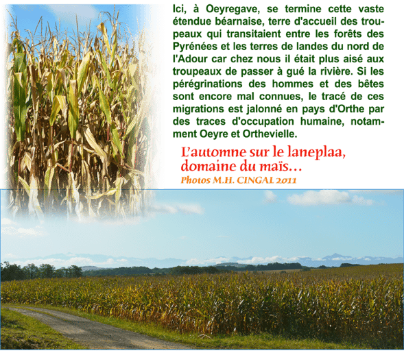 orthe, oeyregave, peyrehorade, landes, aquitaine, dax, adour, arthous, cagnotte, sorde,  barthe, cartulaire, laneplaa, four à chaux, moulin, pyrenees