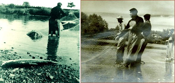 orthe, inondation, peyrehorade, landes, aquitaine, peche, lamproie, pyrenees, gave, arthous, adour, sorde, barthes, radelage, alose, saumon, port de lanne, couralin, hastingues, tilhole, galupe