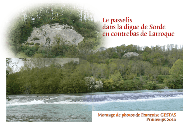 orthe, Sorde, abbaye, peyrehorade, landes, aquitaine, hastingues, gave, adour, barthes, saumon, mazetti, mosaique, plouvier, baro, arthous, lavoir, cryptoportique, dortignacq, pelerin, compostelle