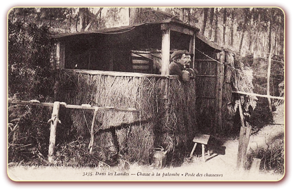 orthe landes peyrehorade aquitaine chasse, bois, foret, veneur, curée, gibier, sorde hastingues cagnotte gave adour saumon chalosse abbaye