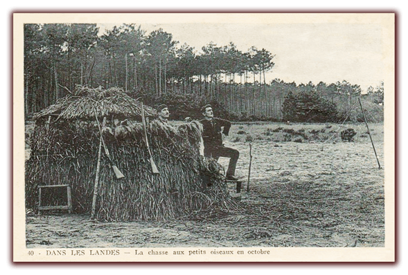 orthe landes peyrehorade aquitaine chasse, bois, foret, veneur, curée, gibier, sorde hastingues cagnotte gave adour saumon chalosse abbaye