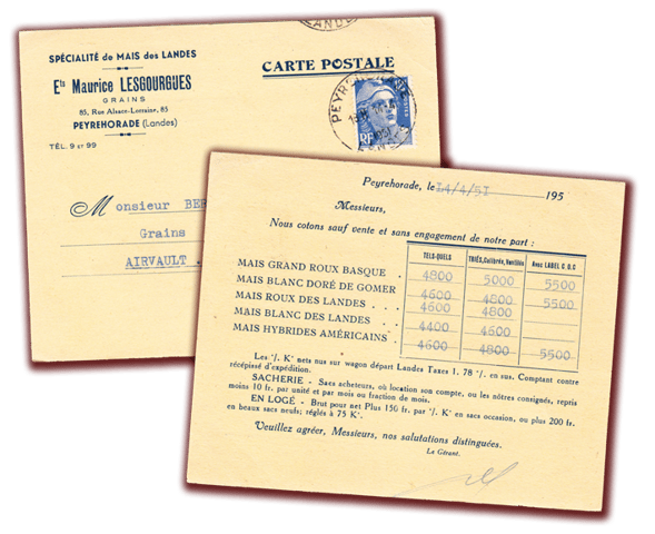 Orthe, landes, aquitaine, sud-ouest, france, maïs, hybride, millas, OGM, blé d'inde, millasson