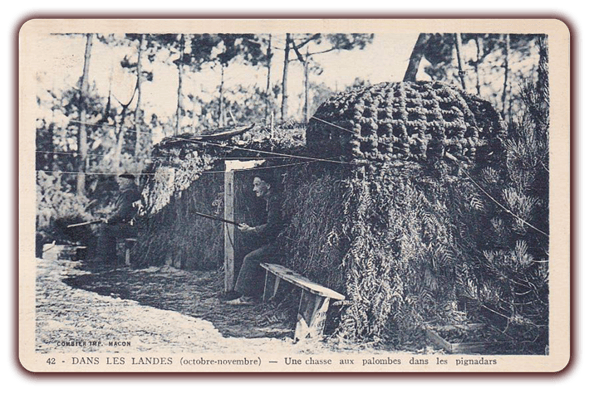 orthe landes peyrehorade aquitaine chasse, bois, foret, veneur, curée, gibier, sorde hastingues cagnotte gave adour saumon chalosse abbaye