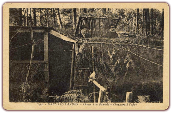 orthe landes peyrehorade aquitaine chasse, bois, foret, veneur, curée, gibier, sorde hastingues cagnotte gave adour saumon chalosse abbaye