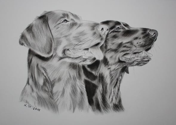 Kiri und Tane gemalt von Heike Müller