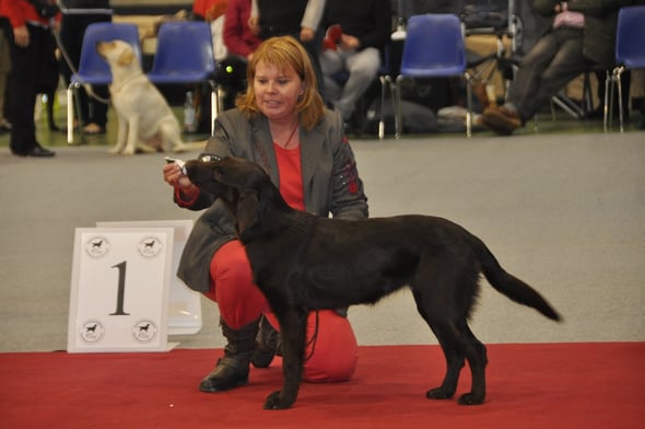 Cuba- Bild by Claudia