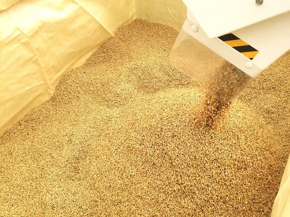 稲刈り風景写真４