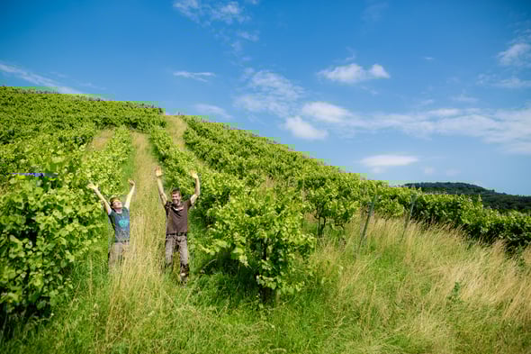 Natur- oder Wildwuchs ;-)