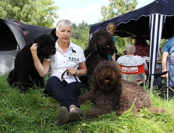 NHA Aarau 2013 - Easter, Bowen und Ginger