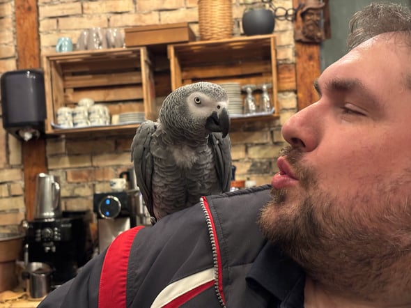 Wichtiger Hinweis: Das Maskottchen heisst nicht Stefan!