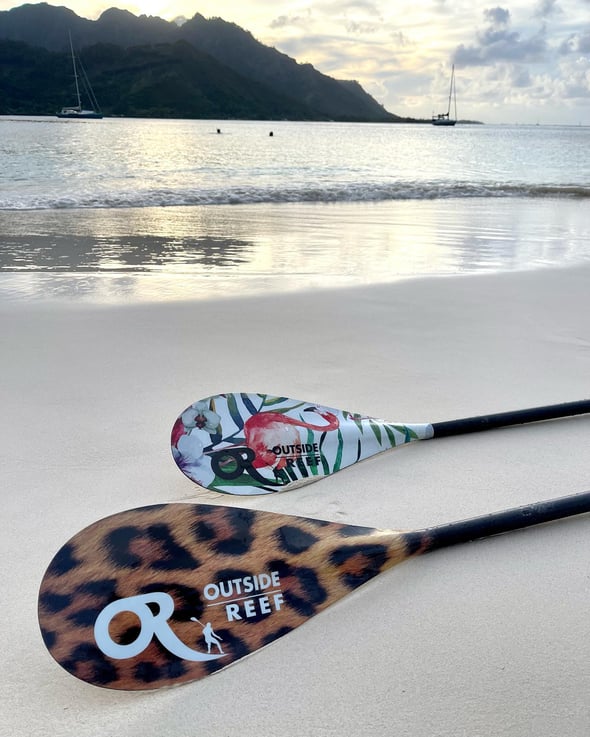 Nouveautés : Leopard Carbone et Flamingo carbone !