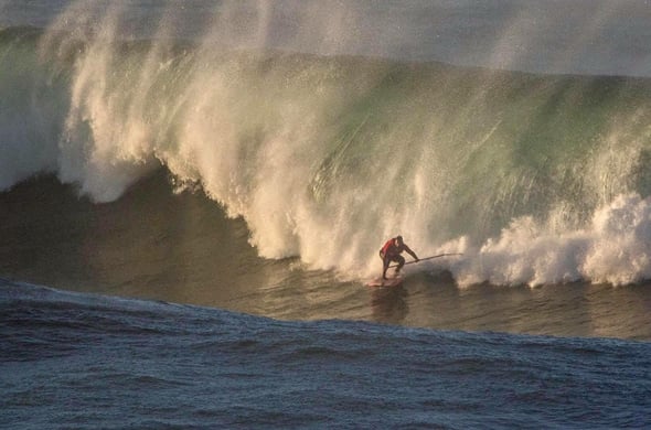 30 décembre 2017 - Peyo à la maison - Photo: Vincent Lantignac