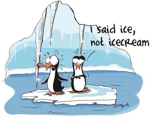 ottbyrds ice icecream Pinguine eis eiscreme 