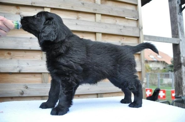 Sanibelbreeze Bliss the Only *Bliss*