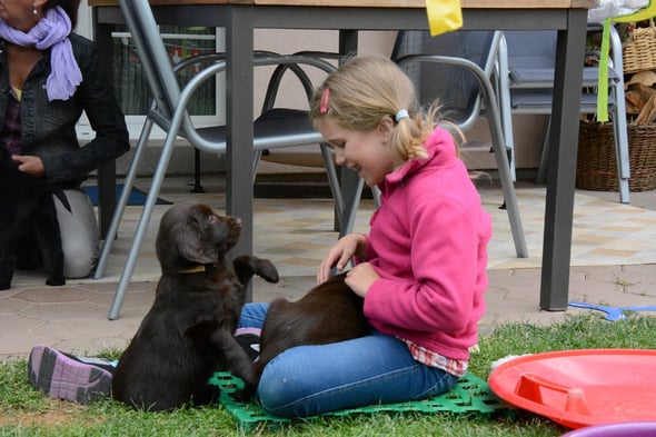 Nailah und die Welpen - am Schluss waren nur die Welpen müde.......vielen Dank an Res für die tollen Fotos