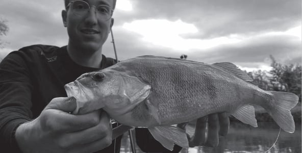 Vmc Promotion Bild - Perch Fishing - Barschangeln