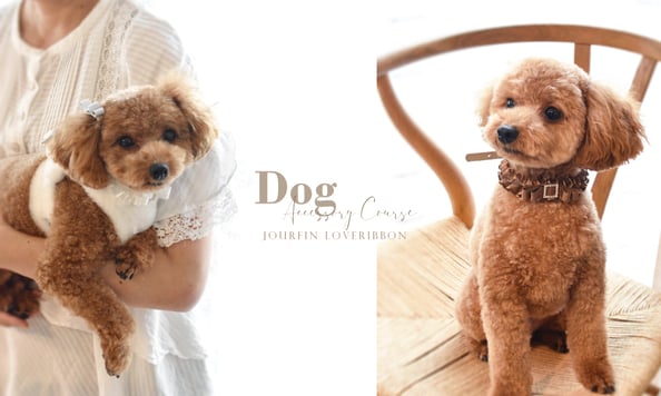 JourFin LoveRibbon ラブリボン　資格取得　 リボン制作　クラフト　リボン教室　リボン　リボンレッスン　リボンワーク　りぼん　リボンレッスン　ハンドメイド　ヘアーアクセサリー 芦屋リボン教室　神戸リボン教室