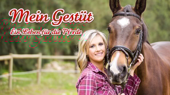 Banner Mein Gestüt - Ein Leben für die Pferde