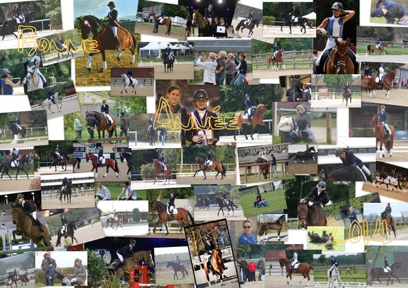 Le résumé très incomplet d'une année 2013 bien remplie