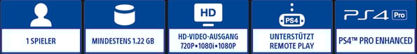 Systemvoraussetzungen PS4