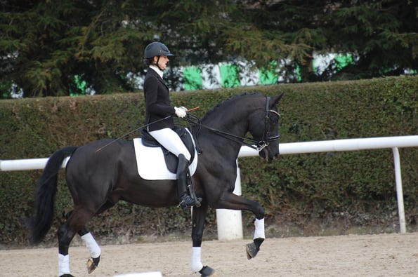 CUPIDO PB Maxime Collard