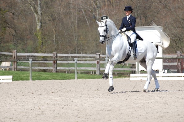 Maxime Collard Cockpit Haras du Pin
