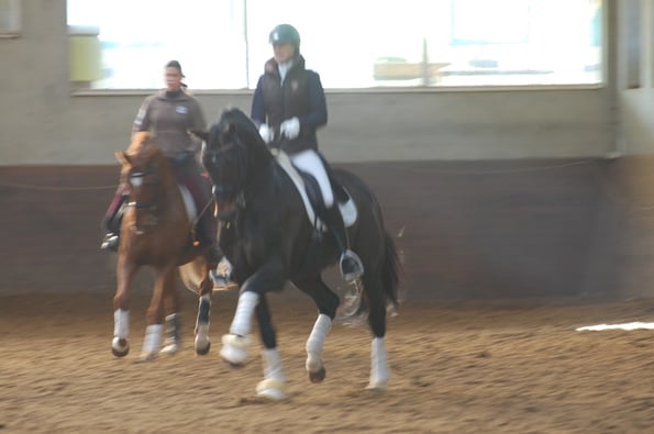 OLIVI à la détente