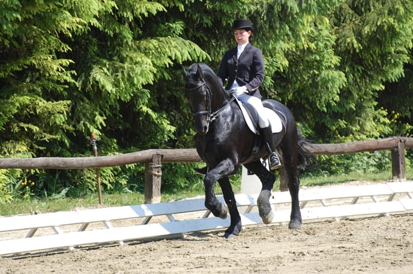 CARLO, Frison, et Maéva DELAGE