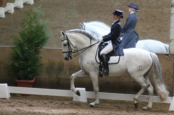 Vanessa COMAR-TEXIER NAPERON