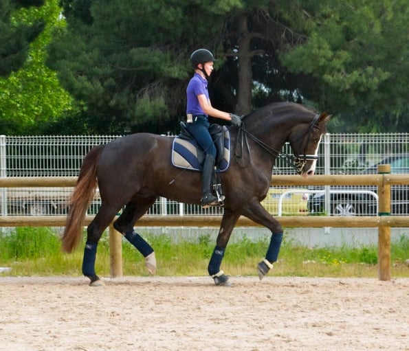 Lucas et WUNSCHTRAEUMER au travail avec Maxime