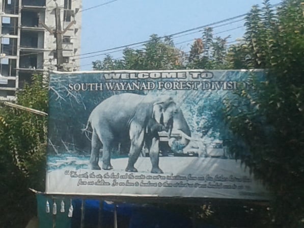 Schild Elegfant Wayanad