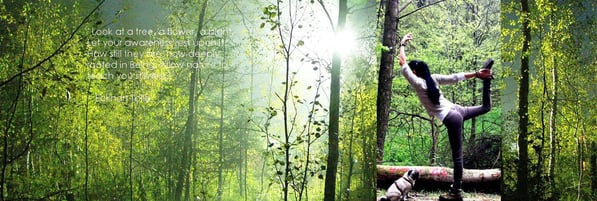 Stille - die Musik der Seele.