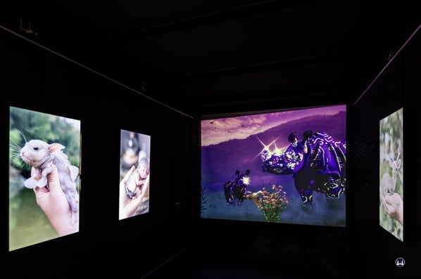 Ausstellung "Contract of Fiction" in der Galerie P 61. Motive: ALI ABOUTINE / MAROKKO UND YOUNG KEVART / USA